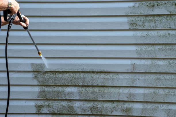 Best Furniture Removal  in East Quogue, NY